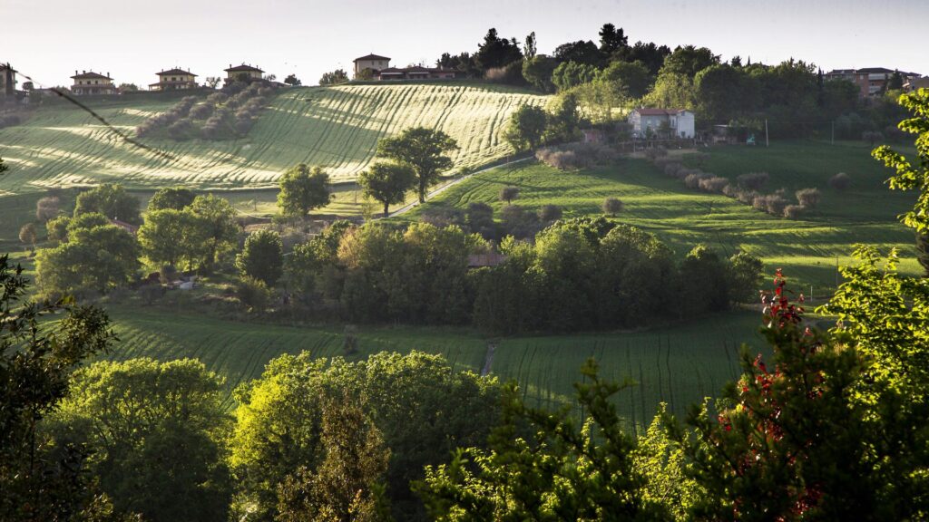 marche-colline-luoghi